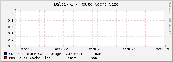 Baldi-R1 - Route Cache Size