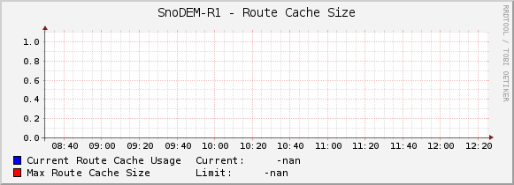 SnoDEM-R1 - Route Cache Size