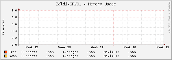 Baldi-SRV01 - Memory Usage